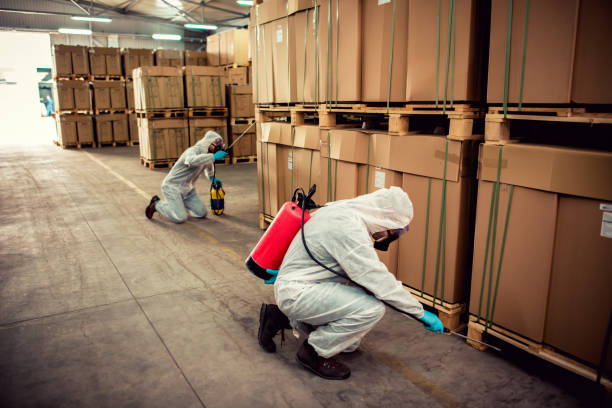 Best Residential Pest Control  in Bay Park, NY