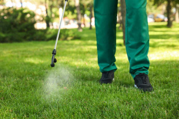 Best Rat Extermination Near Me  in Bay Park, NY