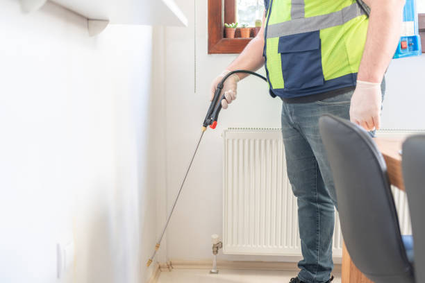 Best Flea Control Services  in Bay Park, NY