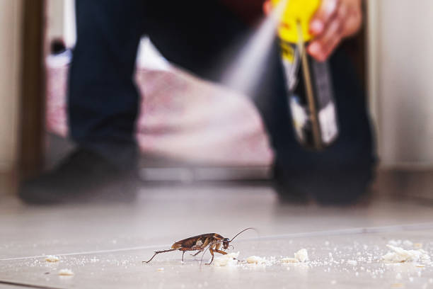  Bay Park, NY Pest Control Pros