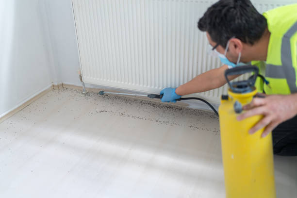 Trusted Bay Park, NY Pest Control Experts